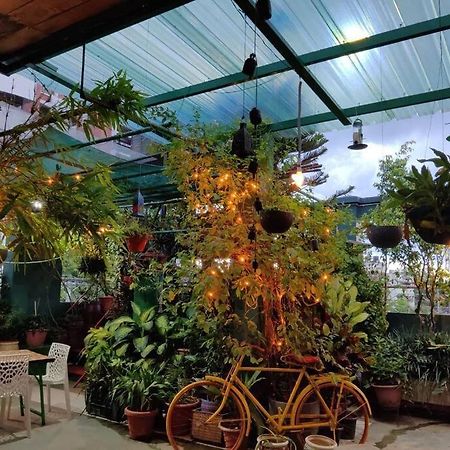 The Nook Rooftop Condo And Garden Gauháti Kültér fotó